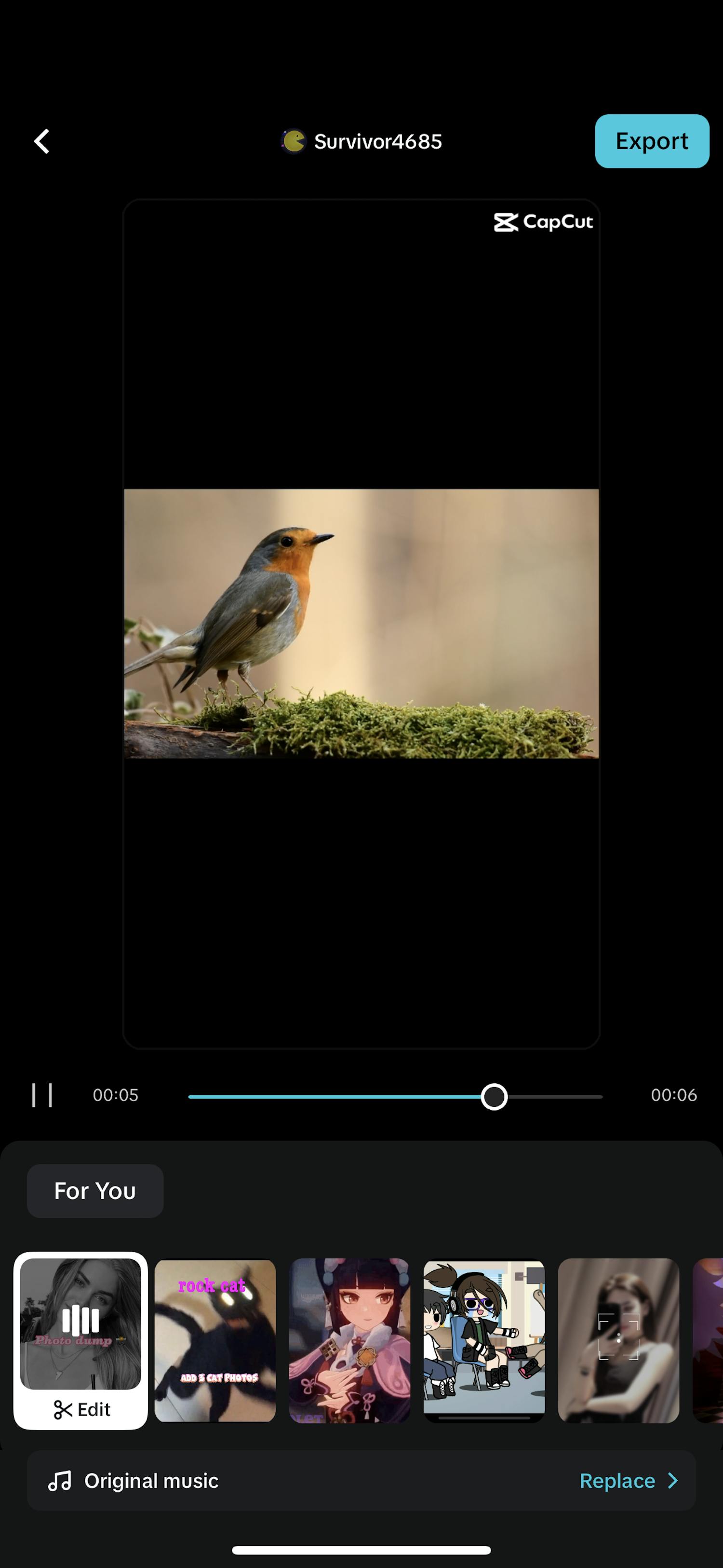 Mallar i CapCut. Välj bland en rad färdiga mallar.